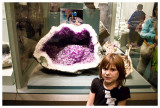 Museum of Natural History