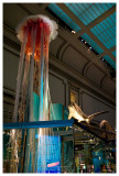 Ocean hall