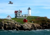 103 nubble.jpg