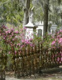 500 Savannah 408 Bonaventure Cemetery.jpg