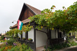 House In Vine And Flowers
