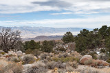  Inyo Mountains And Owens Lake
