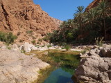 pool at Wadi Shab