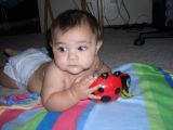 My Ladybug