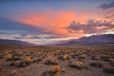 Owens Valley