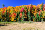 ALQ  0281 Sept 2012.JPG
