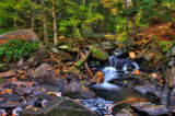 D30_3154HDR_Painting.JPG