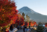 Autumn Mount Fuji