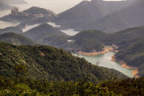 Tai Tam Country Park 