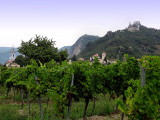 Drnstein, village de la valle de Wachau, rpute pour ses vins