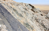 QINGHAI LAKE CHINA - PETROGLYPHS (11).JPG