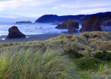 South Oregon Coast