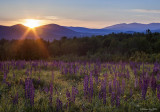 Sugar Hill, NH.jpg