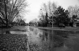 Rainy Autumn Morning