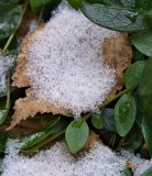 Snow