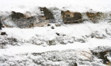 Wall