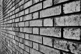 Wall