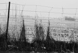 Fence