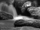 Terri Water - 2.jpg