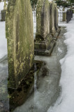 _DSC7268.jpg
