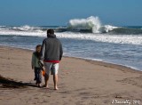 Checking Out the Ocean