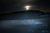 Frozen Snow Laden Crinkle-1-Moonlit.