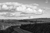 Meandering 