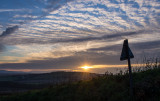 Evening