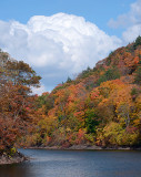 Hubbard Park Fall_5530.jpg