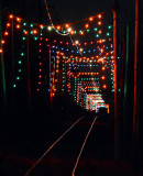 Tunnel of Lights_6312.jpg