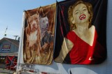 The Dogs & Marilyn