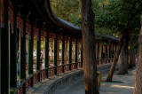 Summer Palace