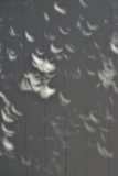 Sun flecks during partial eclipse showing pinhole lens effect