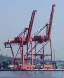 Cranes that dont fly.jpg