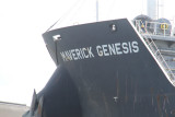 Maverick Genesis - 22 nov 2012 - detalhe_6083.JPG