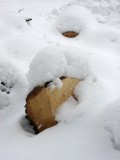 Blocks Under Snow