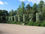 White Willows, Topelius Park