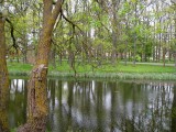 A Pond, Krgessaare