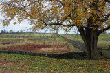October 27, 2012