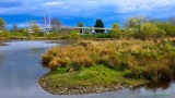 Delta ponds & bike bridge