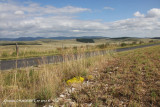 02 07 2012 GORGES TARN causses mjean G (116).JPG