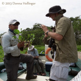 Juanito e Pedro With Water Hyacinth