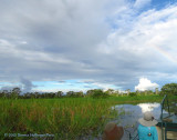 Poncho and Barbaras hats and the Horizon Colors