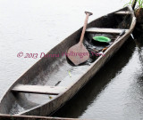 Amazonian Dugout Canoe