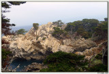 Point Lobos