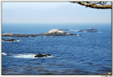 Point Lobos