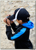 Point Lobos