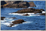 Point Lobos