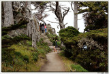 Point Lobos