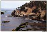 Point Lobos